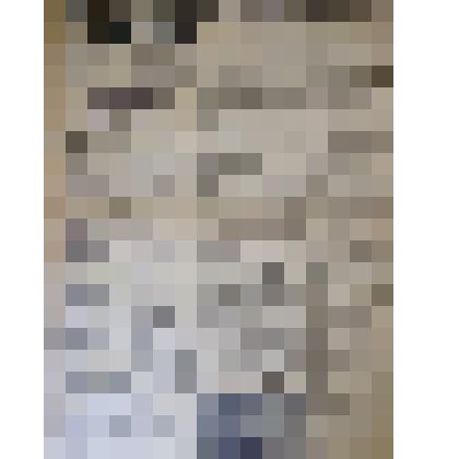 Газета "Адлерская правда"
№29 (3457) от 09.03.1962 г