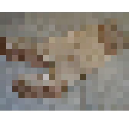 Чулок (гольфы, правый)