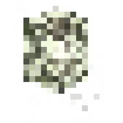 EX LIBRIS “JAN BRUGGHEMAN”.1992