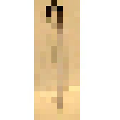 Трость дубовая с загнутой ручкой и медным наконечником