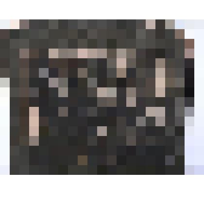 Ф/чб/п. Коллектив работниц швейной артели. 1-е Покровское кооперативное товарищество "Чулочница" (вдали Бутенко-Резниченко М.Ф.). Покровск. 1925