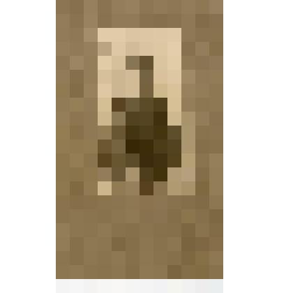 Фотография. Павел Семенович Жуков