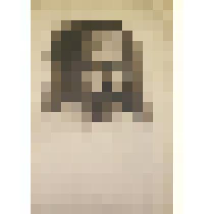 Фотография. Феликс Эдмундович Дзержинский