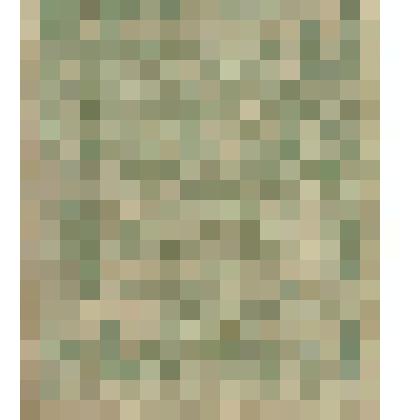 Знак расчётный, 3 руб.; РСФСР, 1919 г