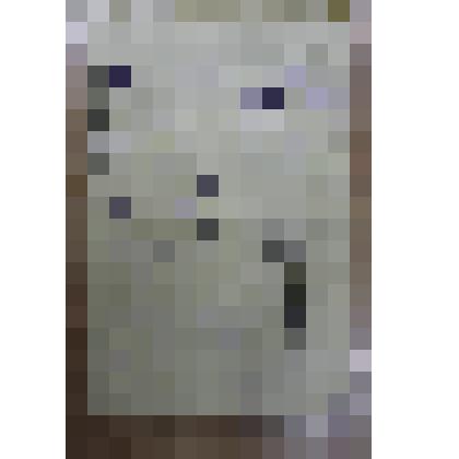 Письмо стихи из фронта