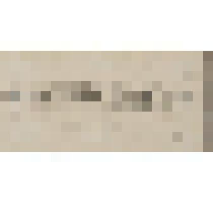 Вид Царицына с Волги, из альбома  «190 пейзажей; зарисовки, иллюстрации, карикатуры»