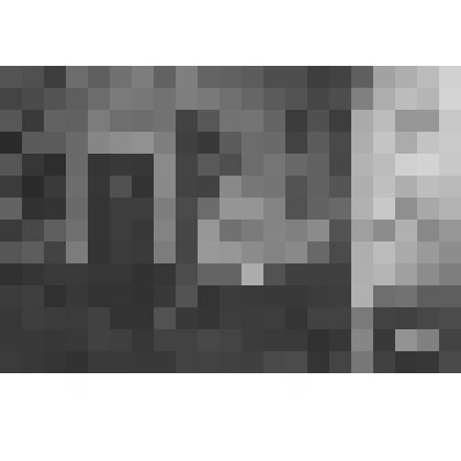 Фермерский дворец. Приемная императрицы. Южная стена. Фрагмент