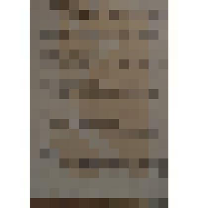 Биография Злыденного Ивана Дмитриевича