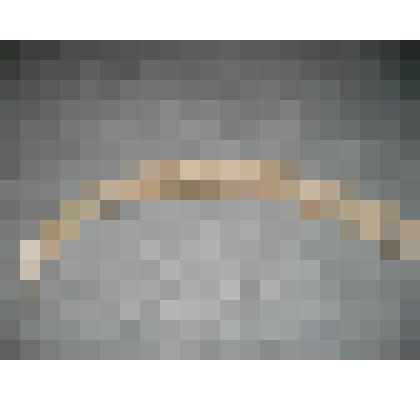 Бивень мамонта