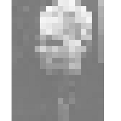 Фото. Маяковская А.А