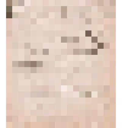 Телеграмма № 110 в г. Чердынь В.Н.Алину от Норицина из г. Ижмы