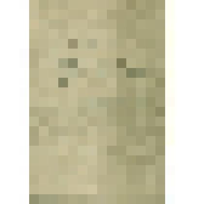 Книга межевая "Соливычегодского уезду Пещанской волости отхожих поженъ Черемуховой…владения черносошных крестьян Строгановых"