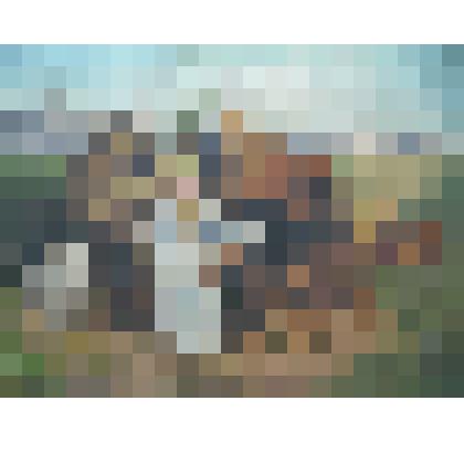 Царь Давид в окружении зверей