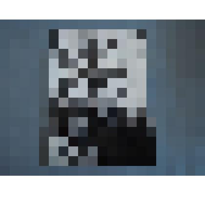 Фото. Н.П.Варяжский с женой Женевьевой