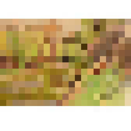 Весенний пейзаж