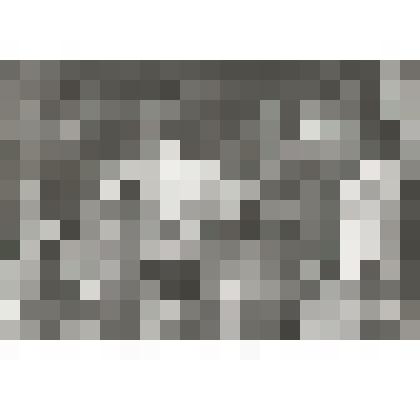 Фотография черно-белая групповая. Субботник на пляже санатория "Ливадия"