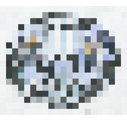 Экслибрис  по истории директора ВОКГ Воропанова В