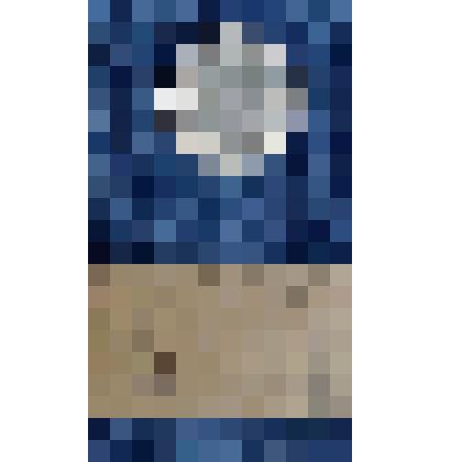 Монета "20 копеек"