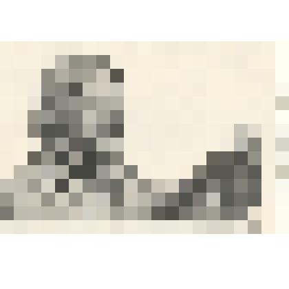 Фотография: прославленный механизатор, гордость совхоза "Путь Ильича" Каменского района Алтайского края , кавалер ордена Ленина Анастасия Михайловна Давыденко