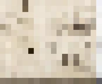 Похороны студента Покровского. Наброски к иллюстрации к роману Ф.М. Достоевского "Бедные люди"