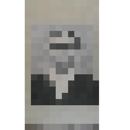 Фотография: Шмидт А.А., свинарка Плотниковского совхоза Каменского района Алтайского края