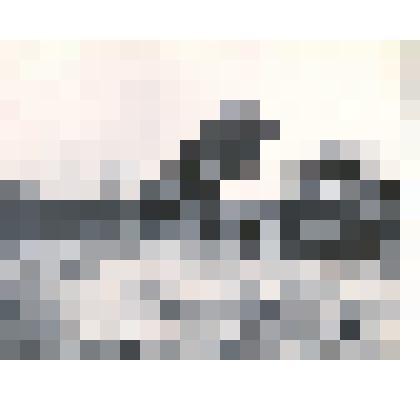 Фотография: на строительстве ж/д линии Карасук-Камень. Отсыпка земляного полотна автотранспортом