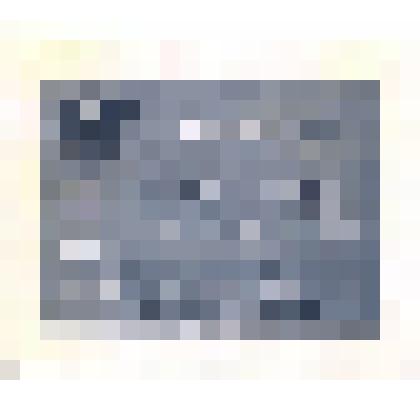 Фотокопия мандата №0118 Масловой Надежды Савельевны, делегата на XIV съезд ВЛКСМ от Алтайской комсомольской организации