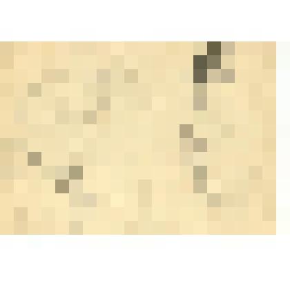 Альбом с набросками и учебными рисунками Д. А. Быстролетова, советского разведчика-нелегала