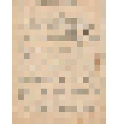 Документ. Белопухов С. С. Рукопись "Из путевых заметок". Из коллекции материалов о Белопухове Сергее Семеновиче (1900-1975), уроженце села Гольцовка Георгиевской волости Кинешемского уезда Костромской губернии, участнике Великой Отечественной войны (1941-