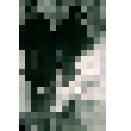 Негатив ч/б "Сейсморазведчики на профиле"