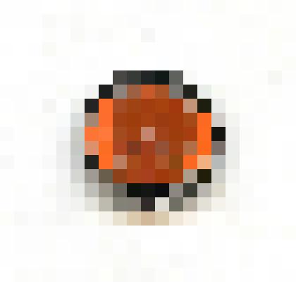 Значок Бурый медведь. Серия: Животные Якутии