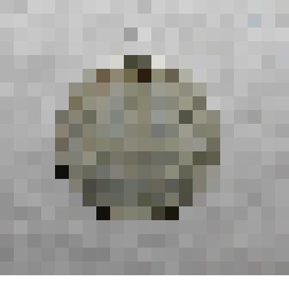 Монета болгарская достоинством 10 стотинки