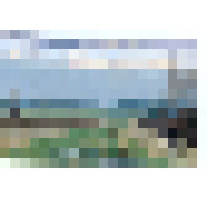 Этюд. Первая зелень. Арсаки