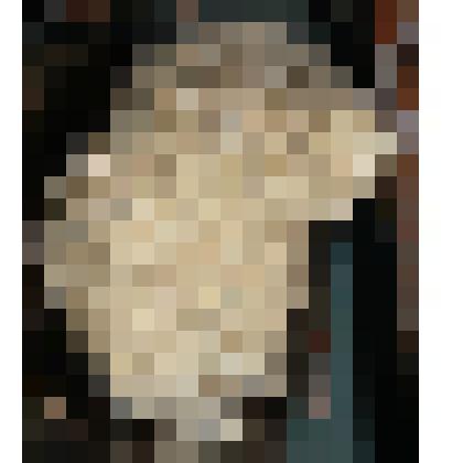 Гнездо синицы