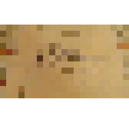 Диплом №1695