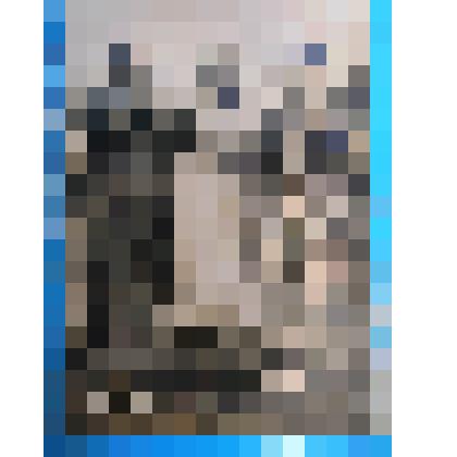 фотография. Три женщины