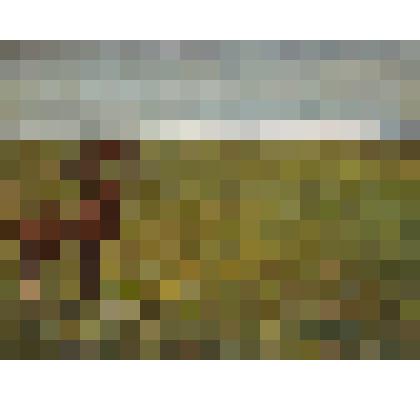 Весенняя степь