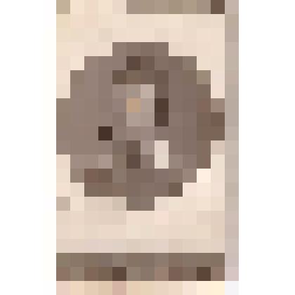 Фотография. Портрет ученицы Мензелинской женской гимназии А.Сливко на фотографическом бланке