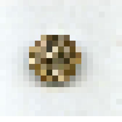 Жетон памятный серебряный. Надпись " 20 лет Конституции Республики Саха (Якутия ). Закрепление игольчатое