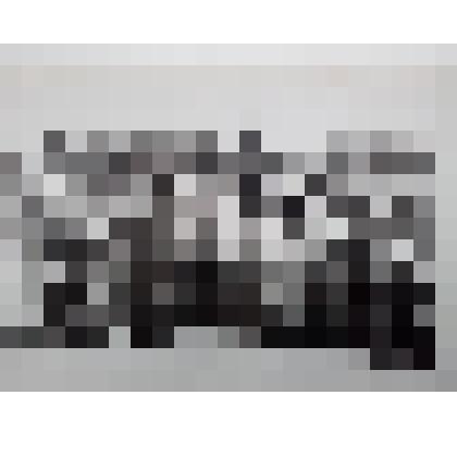 Фотография групповая. Митинг, посвященный открытию районного Дома культуры в п.Яр Удмуртской АССР