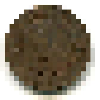 Монета металлическая достоинством 5 копеек, 1870 г