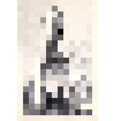 Фотография чёрно-белая сотрудников РОВД у памятника В.И. Ленина. г. Котово, май 1971 год