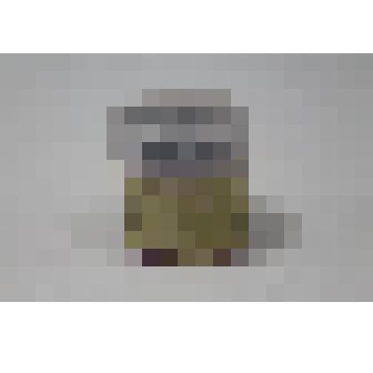 Диафильм для детей «Смелая девушка и двенадцатирогий олень»