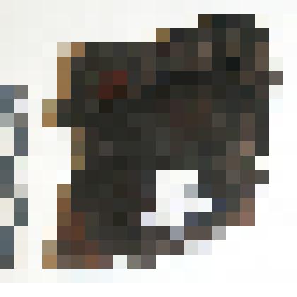 Задник. Коллекция из раскопок городища Мангазея 2009 г