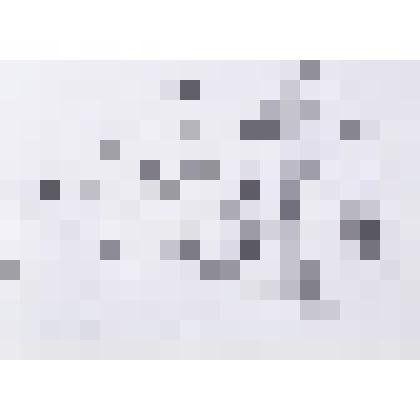 Набросок «Берег Бородаевского озера»