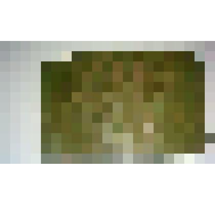 Пряжка ременная металлическая (желтый металл)