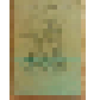 Книжка. Толстой Л.Н. Алеша Горшок [Text]. - М. : Издательство "Посредник" (№ 1093), 1912 (Типография торгового Дома "Мысль";)