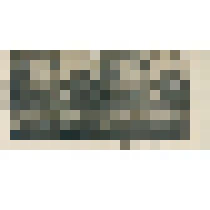 Стереопара на фотобумаге. "Восточная Сибирь. 117. Памятникъ Берингу въ Петропавловске на Камчатке"