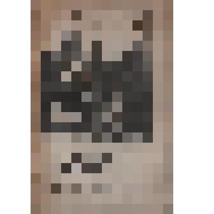 Книга "Ревизор"