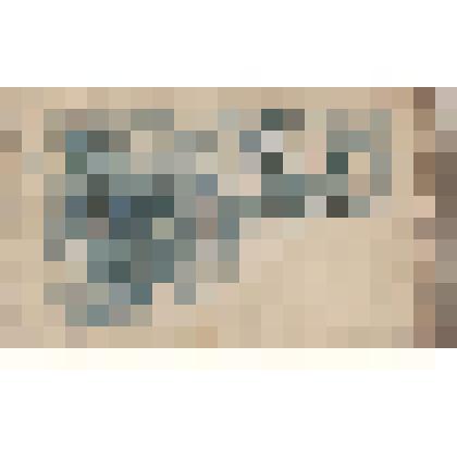 Фото. Потрет юноши. Начало ХХ в